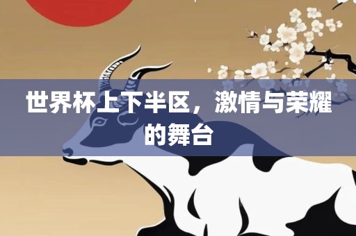 世界杯上下半区，激情与荣耀的舞台