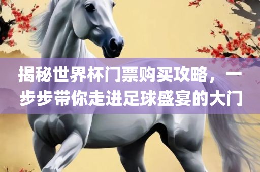 揭秘世界杯门票购买攻略，一步步带你走进足球盛宴的大门