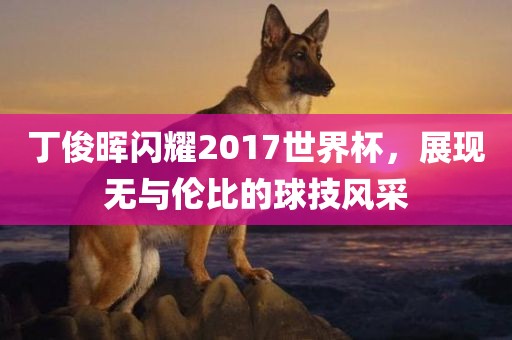 丁俊晖闪耀2017世界杯，展现无与伦比的球技风采