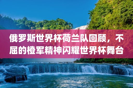 俄罗斯世界杯荷兰队回顾，不屈的橙军精神闪耀世界杯舞台漯河市盈旭机械设备有限公司