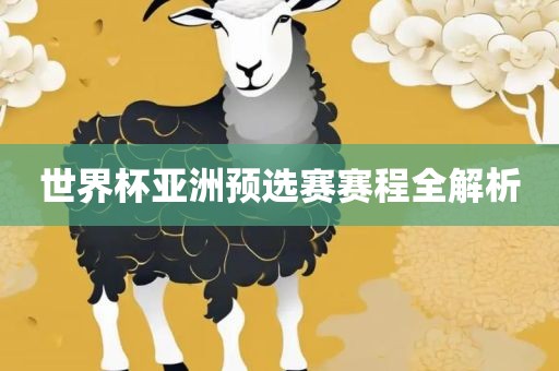 世界杯亚洲预选赛赛程全解析