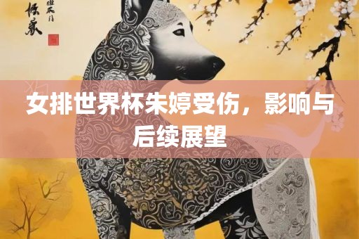 女排世界杯朱婷受伤，影响与后续展望漯河市盈旭机械设备有限公司