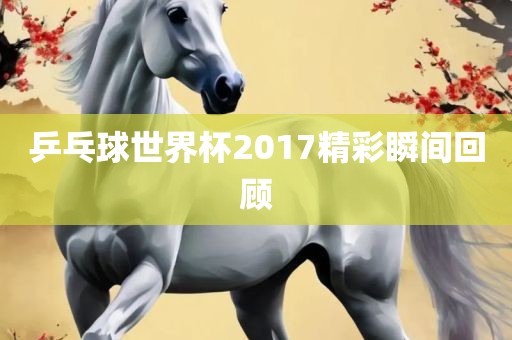 乒乓球世界杯2017精彩瞬间回顾漯河市盈旭机械设备有限公司