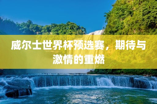 威尔士世界杯预选赛，期待与激情的重燃