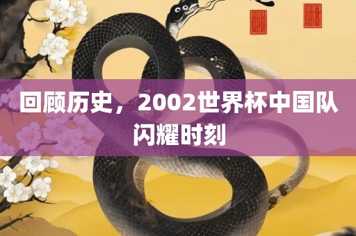 回顾历史，2002世界杯中国队闪耀时刻