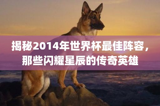 揭秘2014年世界杯最佳阵容，那些闪耀星辰的传奇英雄