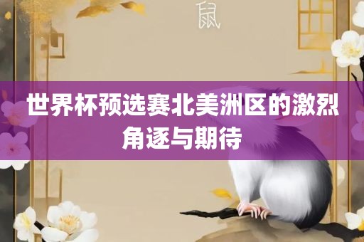 世界杯预选赛北美洲区的激烈角逐与期待