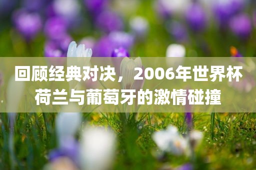 回顾经典对决，2006年世界杯荷兰与葡萄牙的激情碰撞