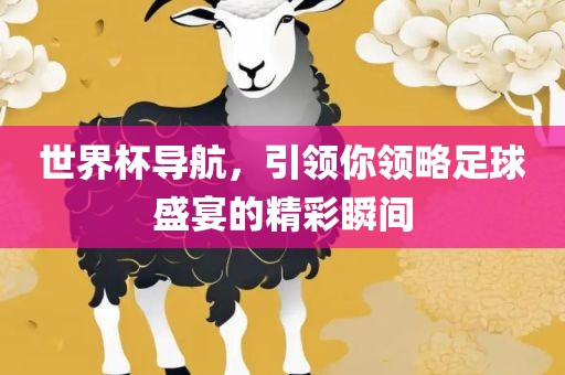 世界杯导航，引领你领略足球盛宴的精彩瞬间