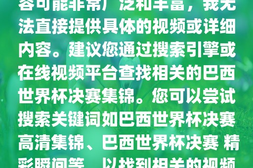 由于巴西世界杯决赛集锦的内容可能非常广泛和丰富，我无法直接提供具体的视频或详细内容。建议您通过搜索引擎或在线视频平台查找相关的巴西世界杯决赛集锦。您可以尝试搜索关键词如巴西世界杯决赛 高清集锦、巴西世界杯决赛 精彩瞬间等，以找到相关的视频和报道。