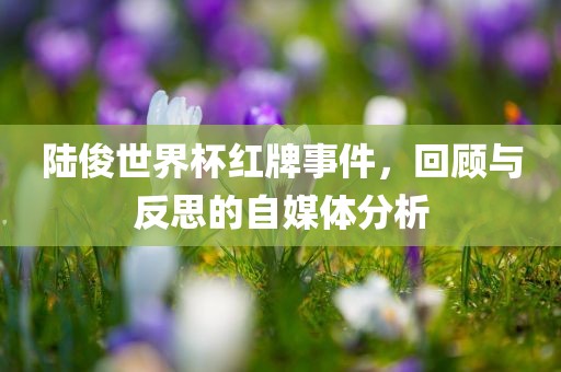 陆俊世界杯红牌事件，回顾与反思的自媒体分析