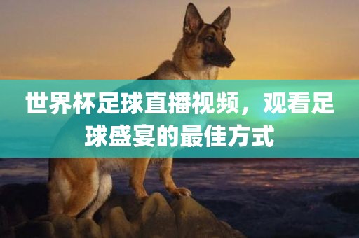 世界杯足球直播视频，观看足球盛宴的最佳方式