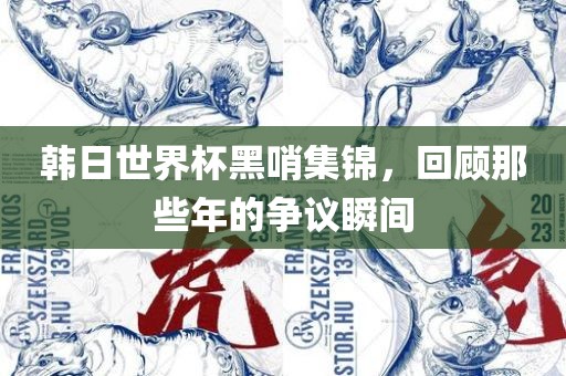 韩日世界杯黑哨集锦，回顾那些年的争议瞬间