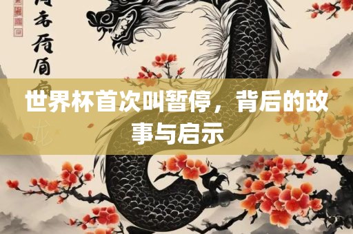 世界杯首次叫暂停，背后的故事与启示