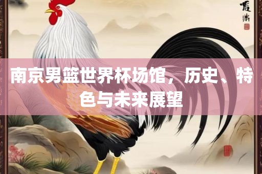 南京男篮世界杯场馆，历史、特色与未来展望