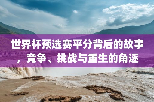 世界杯预选赛平分背后的故事，竞争、挑战与重生的角逐