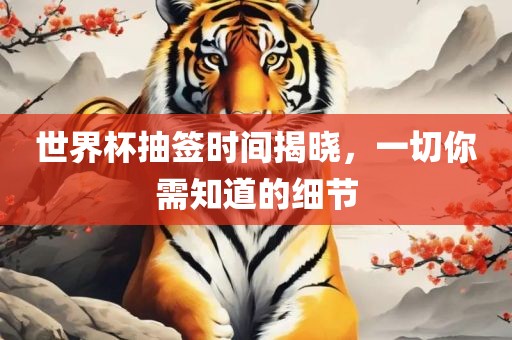 世界杯抽签时间揭晓，一切你需知道的细节