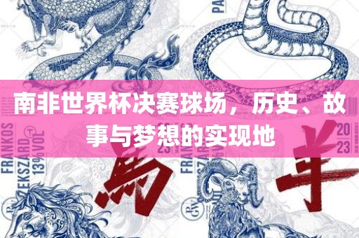 南非世界杯决赛球场，历史、故事与梦想的实现地