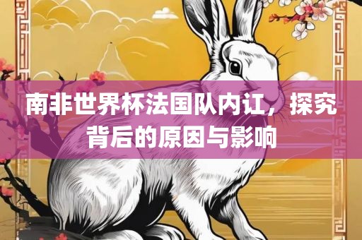 南非世界杯法国队内讧，探究背后的原因与影响