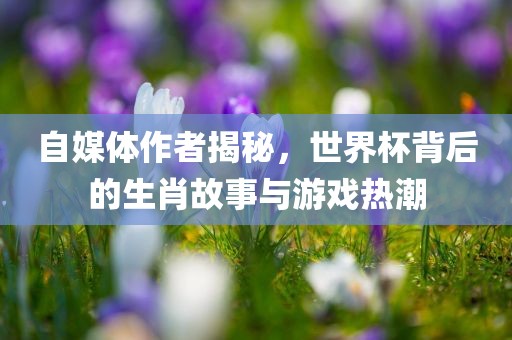 自媒体作者揭秘，世界杯背后的生肖故事与游戏热潮