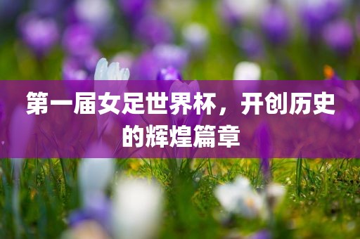第一届女足世界杯，开创历史的辉煌篇章