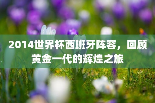 2014世界杯西班牙阵容，回顾黄金一代的辉煌之旅漯河市盈旭机械设备有限公司