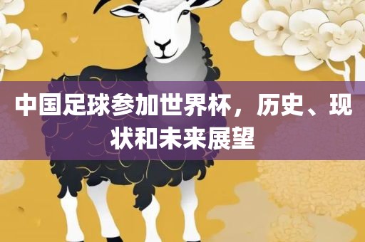 中国足球参加世界杯，历史、现状和未来展望