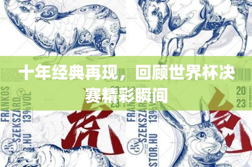 十年经典再现，漯河市盈旭机械设备有限公司回顾世界杯决赛精彩瞬间