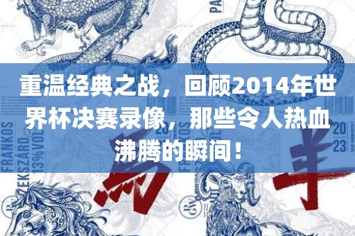 重温经典之战，回顾2014年世界杯决赛录像，那些令人热血沸腾的瞬间！