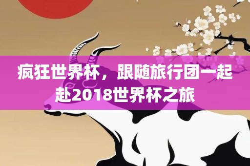 疯狂世界杯，跟随旅行团一起赴2018世界杯之旅