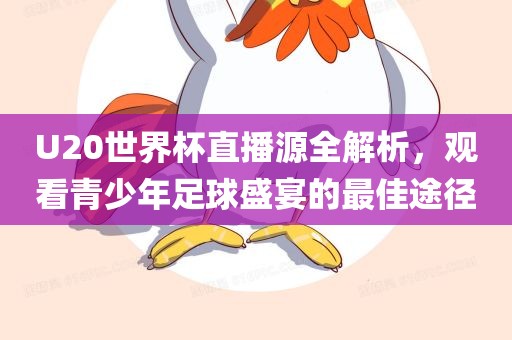 U20世界杯直播源全解析，观看青少年足球盛宴的最佳途径