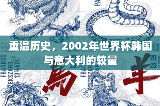 重温历史，2002年世界杯韩国与意大利的较量