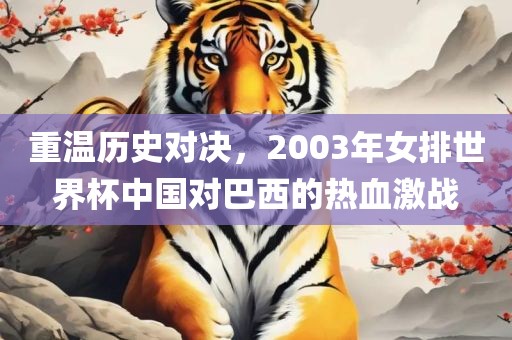 重温历史对决，2003年女排世界杯中国对巴西的热血激战