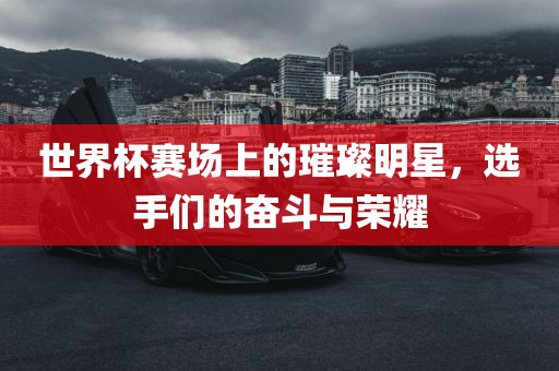 世界杯赛场上的璀璨明星，选手们的奋斗与荣耀
