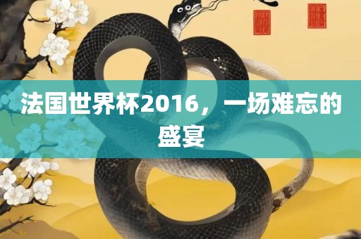 法国世界杯2016，一场难忘的盛宴