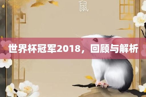 世界杯冠军20漯河市盈旭机械设备有限公司18，回顾与解析