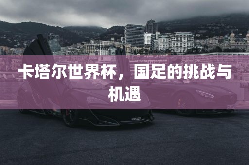 卡塔尔世界杯，国足的挑战与机遇