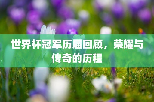 世界杯冠军历届回顾，漯河市盈旭机械设备有限公司荣耀与传奇的历程