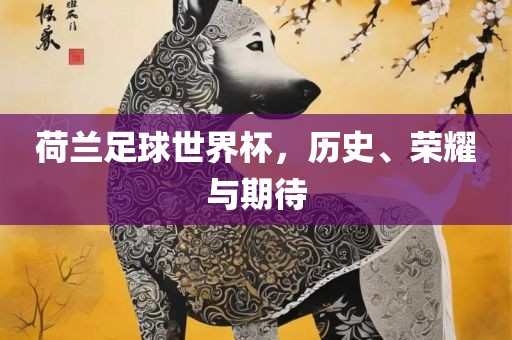 荷兰足球世界杯，历史、荣耀与期待