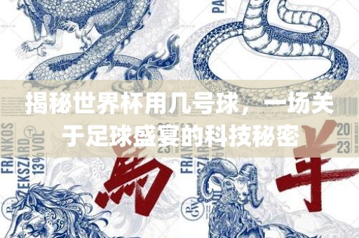 揭秘世界杯用几号球，一场关于足球盛宴的科技秘密