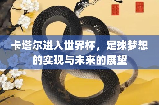 卡塔尔进入世界杯，足球梦想的实现与未来的展望