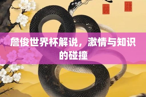 詹俊世界杯解说，激情与知识的碰撞
