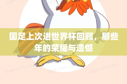 国足上次进世界杯回顾，那些年的荣耀与遗憾