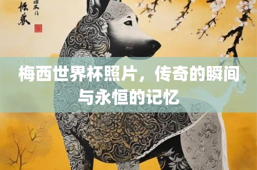 梅西世界杯照片，传奇的瞬间与永恒的记忆