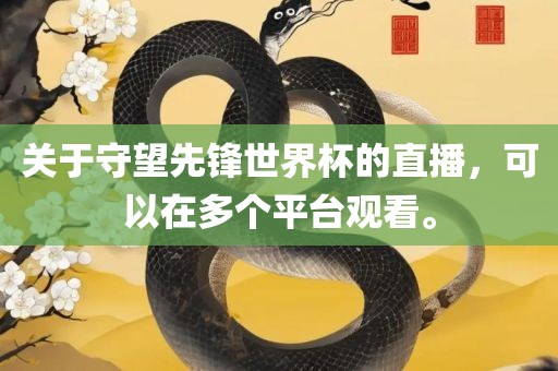 关于守望先锋世界杯的直播，可以在多个平台观看。