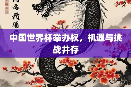 中国世界杯举办权，机遇与挑战并存