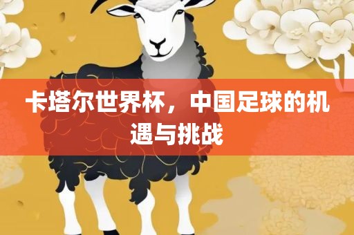 卡塔尔世界杯，中国足球的机遇与挑战