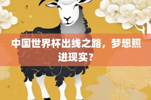 中国世界杯出线之路，梦想照进现实？