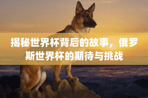 揭秘世界杯背后的故事，俄罗斯世界杯的期待与挑战