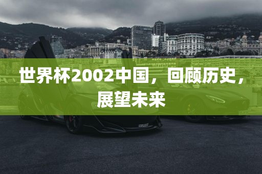 世界杯2002中国，回顾历史，展望未来